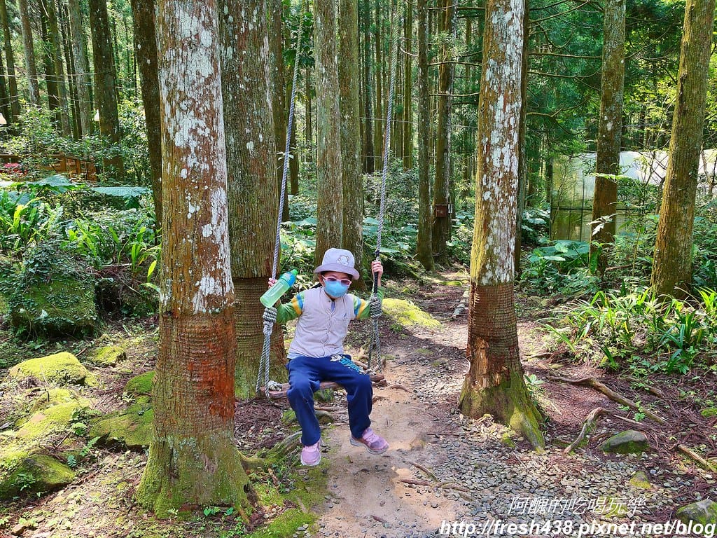 【新竹景點】馬武督探索森林、綠光森林、綠光小學,來場森林深呼吸,賞桐花正是時候! - 第21張圖 13-2