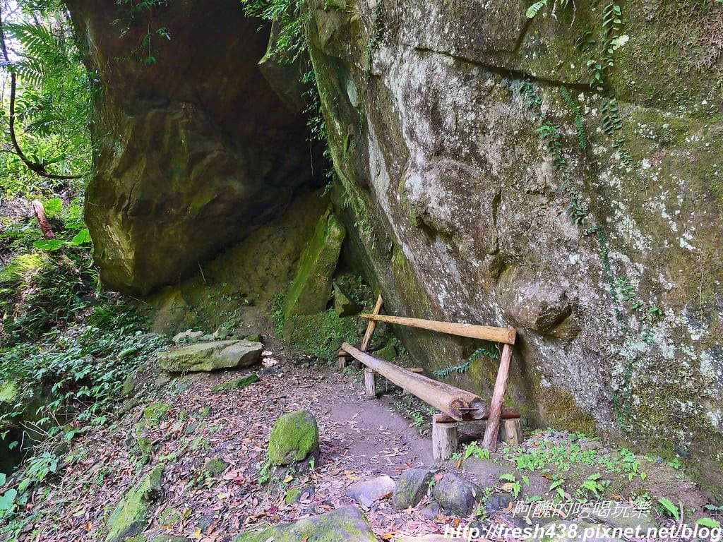 【新竹景點】馬武督探索森林、綠光森林、綠光小學,來場森林深呼吸,賞桐花正是時候! - 第39張圖 30