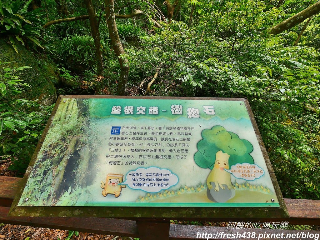 【新竹景點】馬武督探索森林、綠光森林、綠光小學,來場森林深呼吸,賞桐花正是時候! - 第67張圖 59