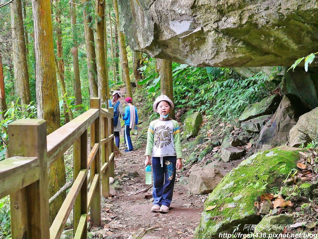【新竹景點】馬武督探索森林、綠光森林、綠光小學,來場森林深呼吸,賞桐花正是時候! - 第71張圖 63