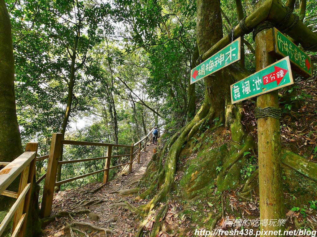 【新竹景點】馬武督探索森林、綠光森林、綠光小學,來場森林深呼吸,賞桐花正是時候! - 第60張圖 52