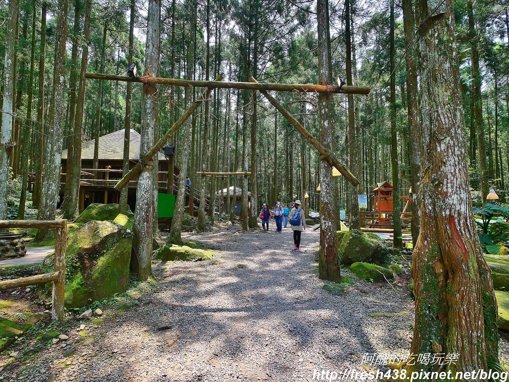 【新竹景點】馬武督探索森林、綠光森林、綠光小學,來場森林深呼吸,賞桐花正是時候! - 第22張圖 14