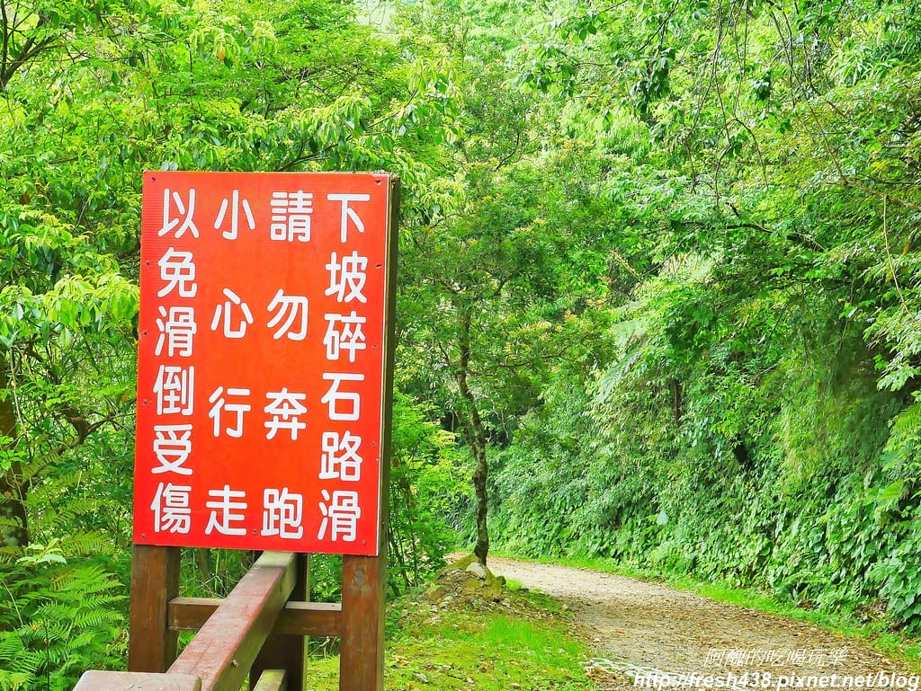 【新竹景點】馬武督探索森林、綠光森林、綠光小學,來場森林深呼吸,賞桐花正是時候! - 第76張圖 68