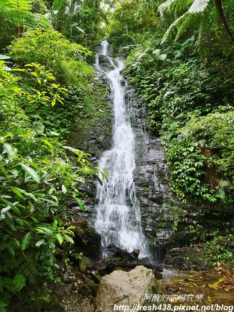 【新竹景點】馬武督探索森林、綠光森林、綠光小學,來場森林深呼吸,賞桐花正是時候! - 第51張圖 40-3