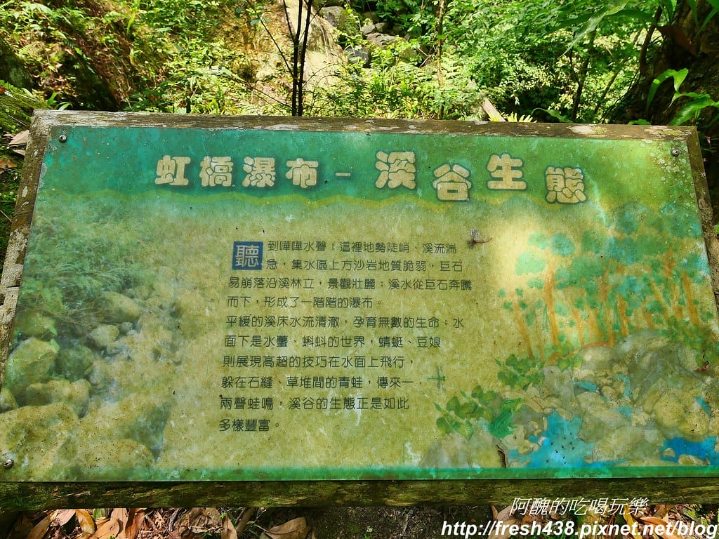 【新竹景點】馬武督探索森林、綠光森林、綠光小學,來場森林深呼吸,賞桐花正是時候! - 第43張圖 34