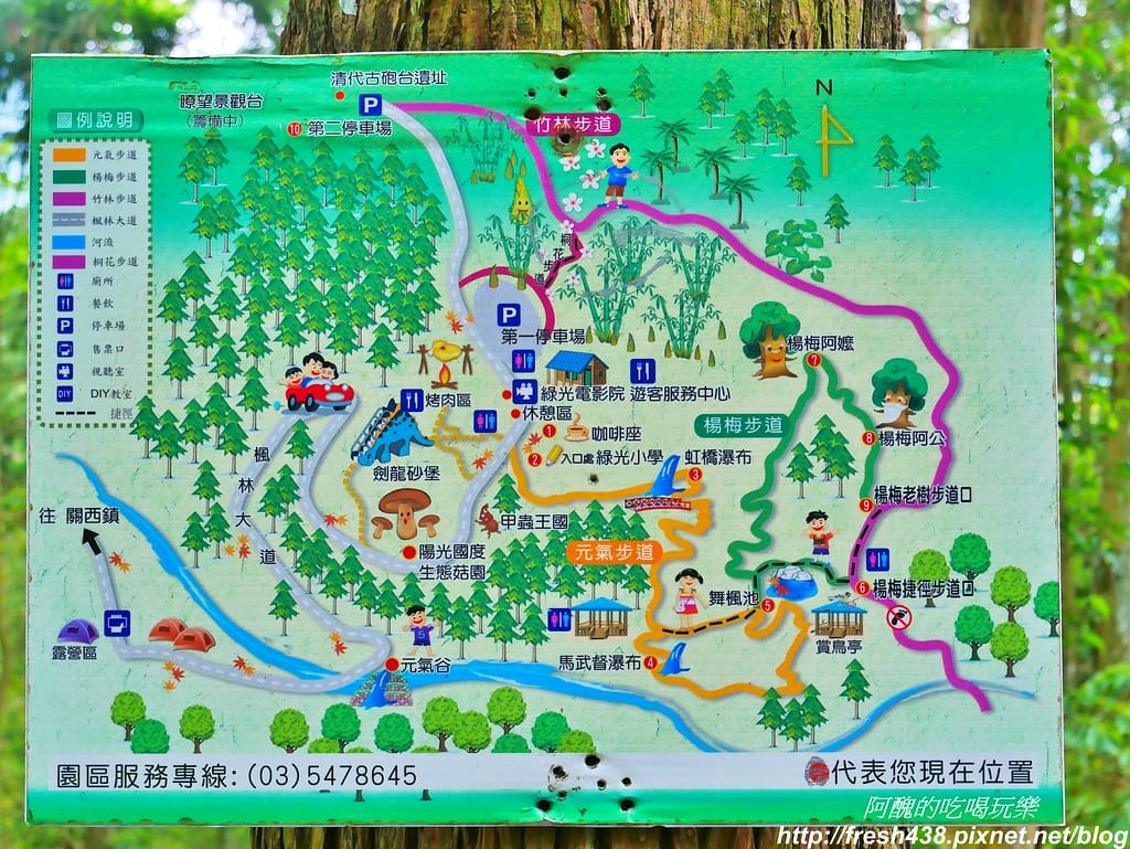 【新竹景點】馬武督探索森林、綠光森林、綠光小學,來場森林深呼吸,賞桐花正是時候! - 第13張圖 8-1