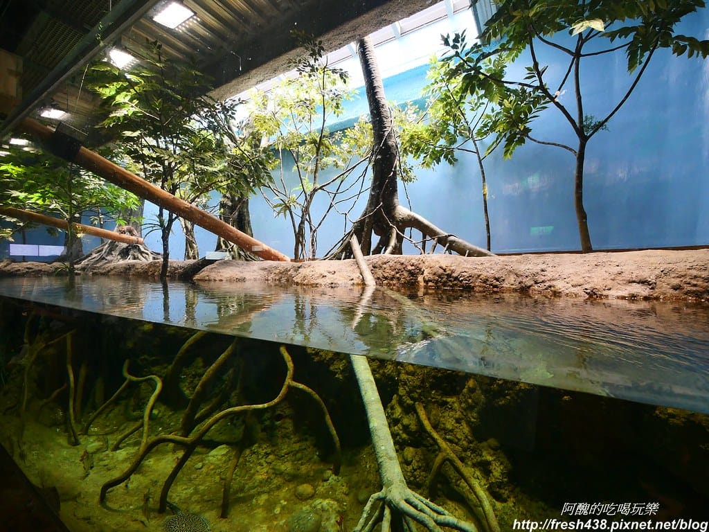 P1023524