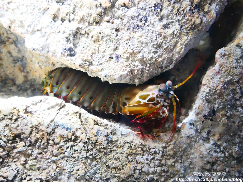 P1023520