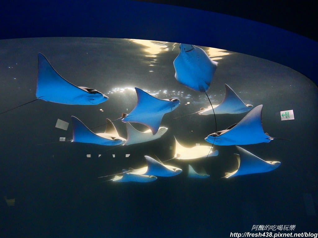 P1023506