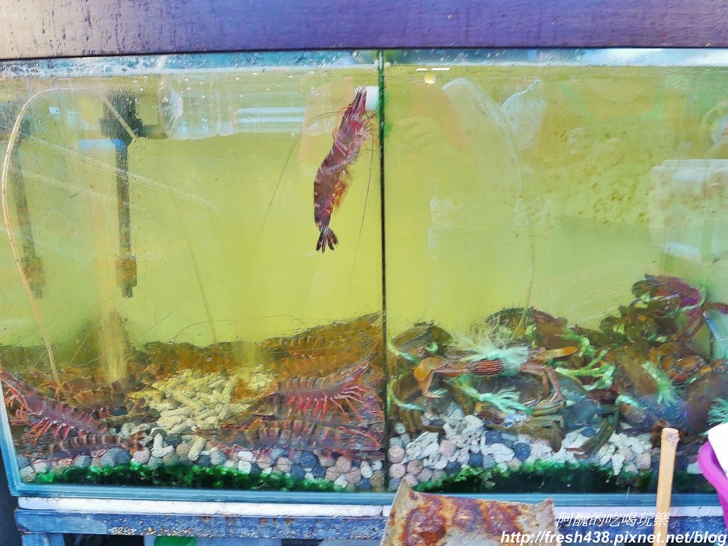 【宜蘭美食】北海岸海鮮樓(北海岸鵝肉快炒),礁溪熱門快炒餐廳。 - 第14張圖 7