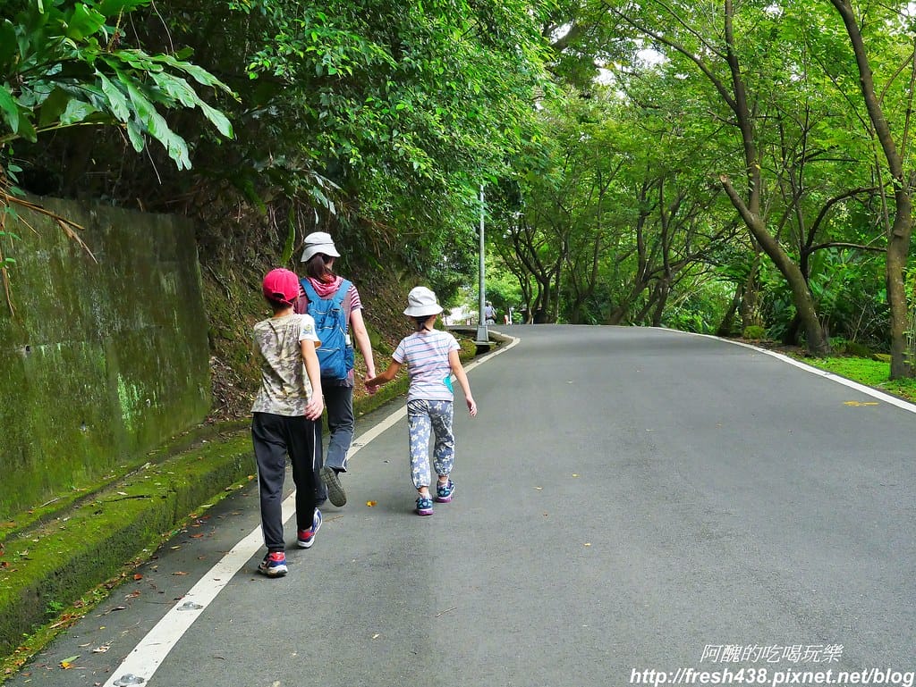 36(走馬路往青龍嶺)
