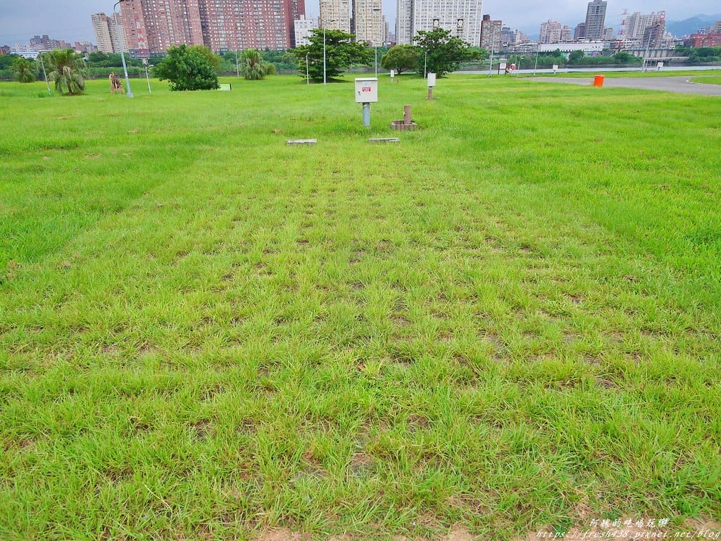 40-1(露營場地地磚草地))