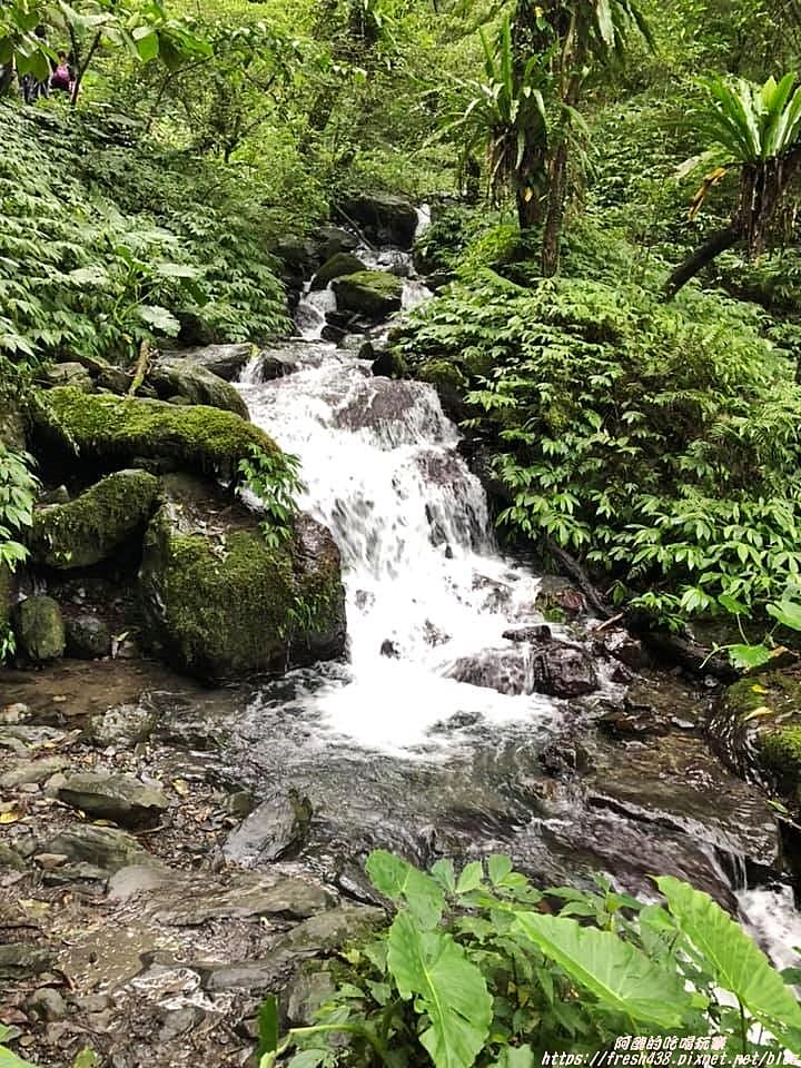 100530287_2637546559868054_1318926109470883840_n