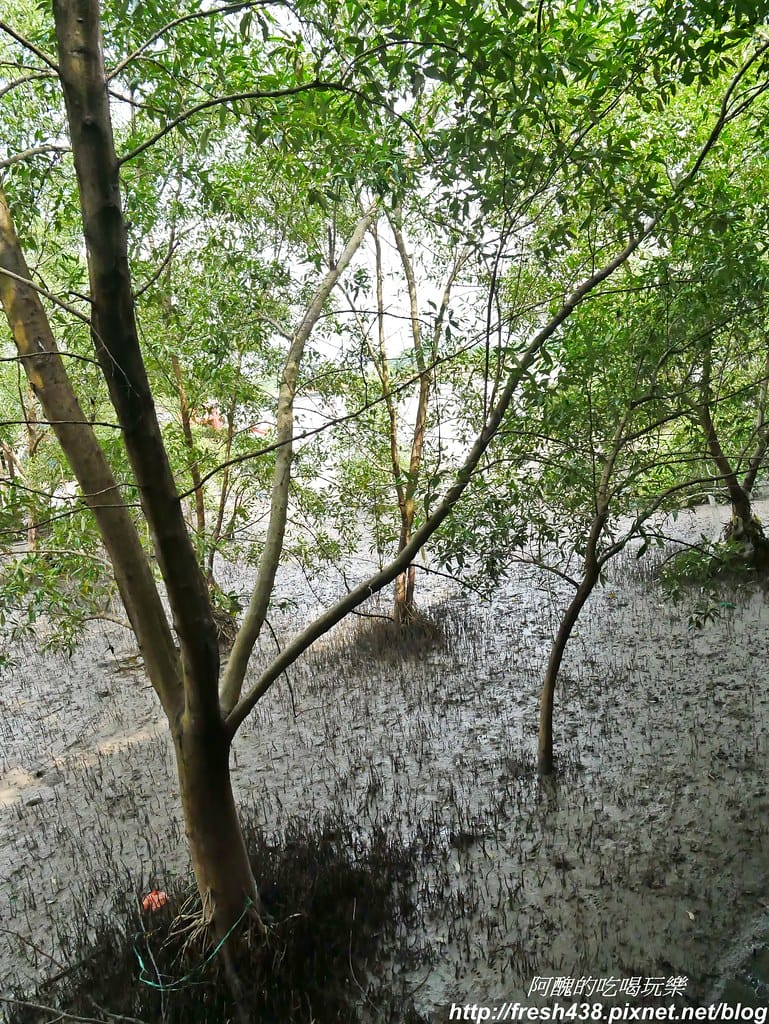 【馬來西亞旅遊】檳城吉打港前往蘭卡威,船班、票價與注意事項,必遊蘭卡威瓜埠碼頭老鷹廣場。 - 第16張圖 P1650099