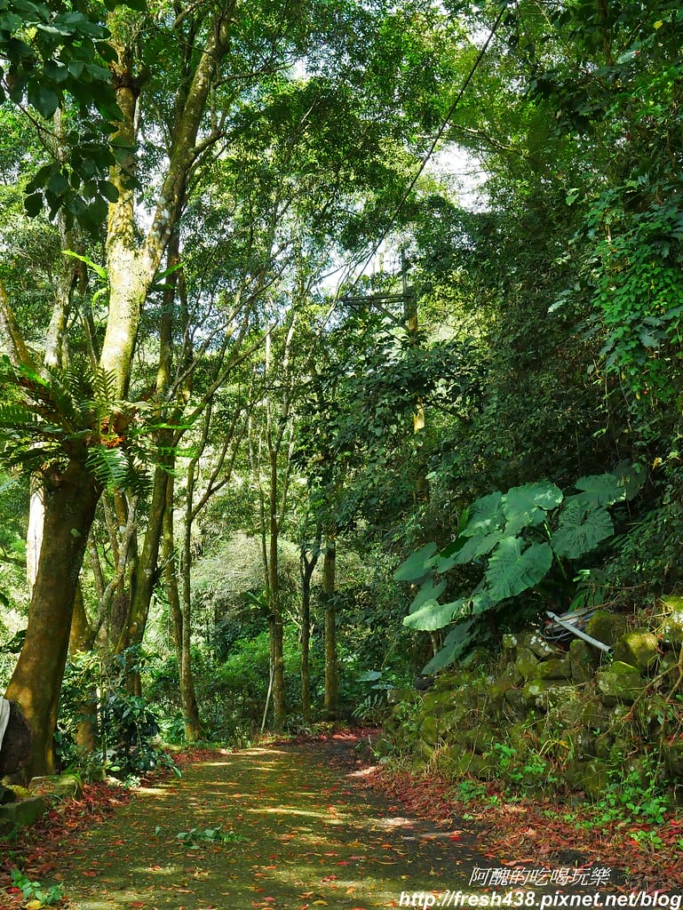 P1850334