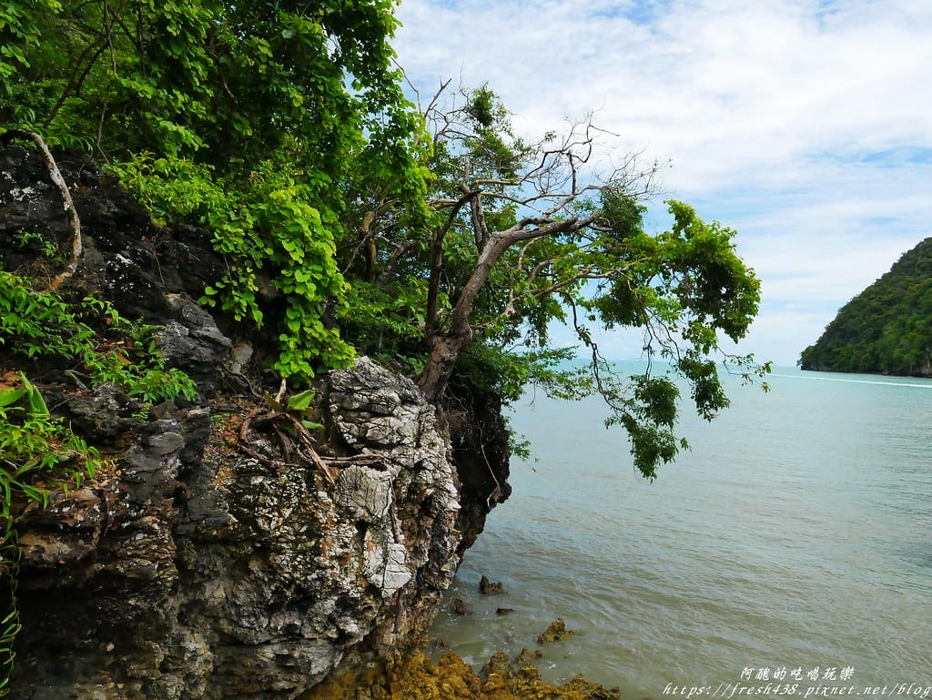 【馬來西亞旅遊】蘭卡威跳島行程,濕米島、孕婦島、水晶島,體驗海釣、觀賞餵老鷹、沙灘BBQ。 - 第63張圖 P1650704