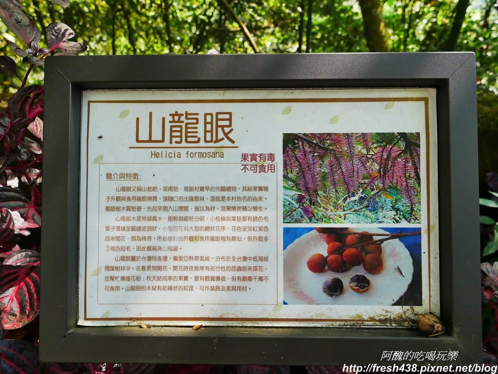 P1850310