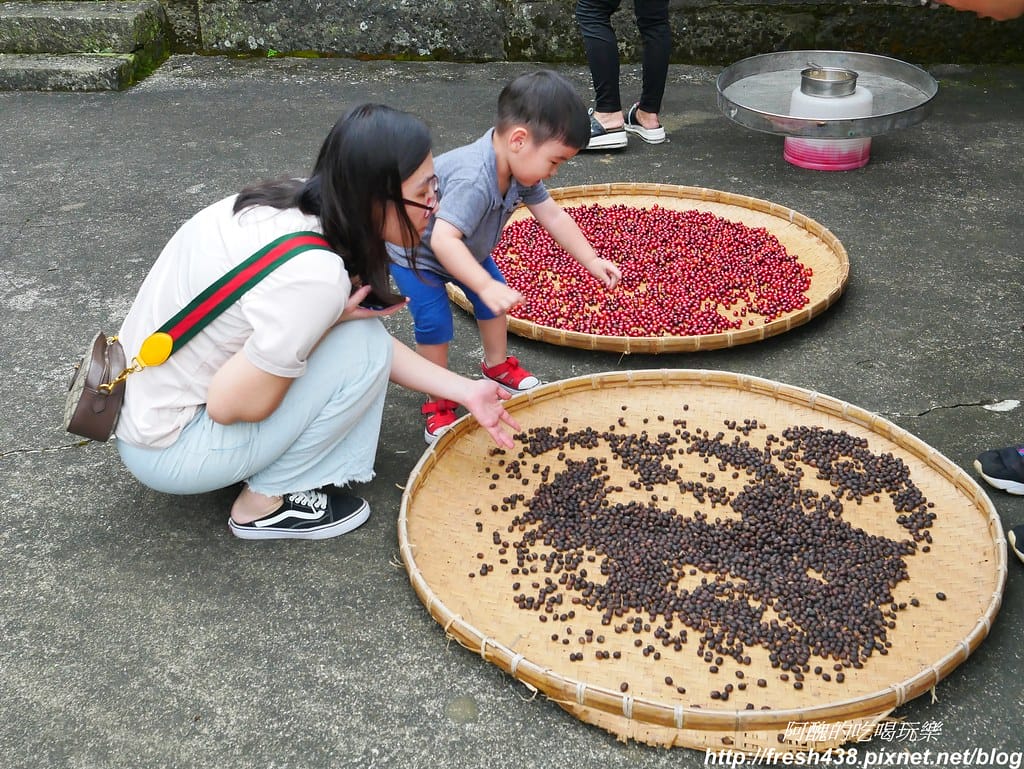 【嘉義美食】富摩咖啡莊園,品嚐特等獎精品咖啡,DIY製作濾掛式咖啡,來聽龍眼村村長話古今。 - 第13張圖 P1850552