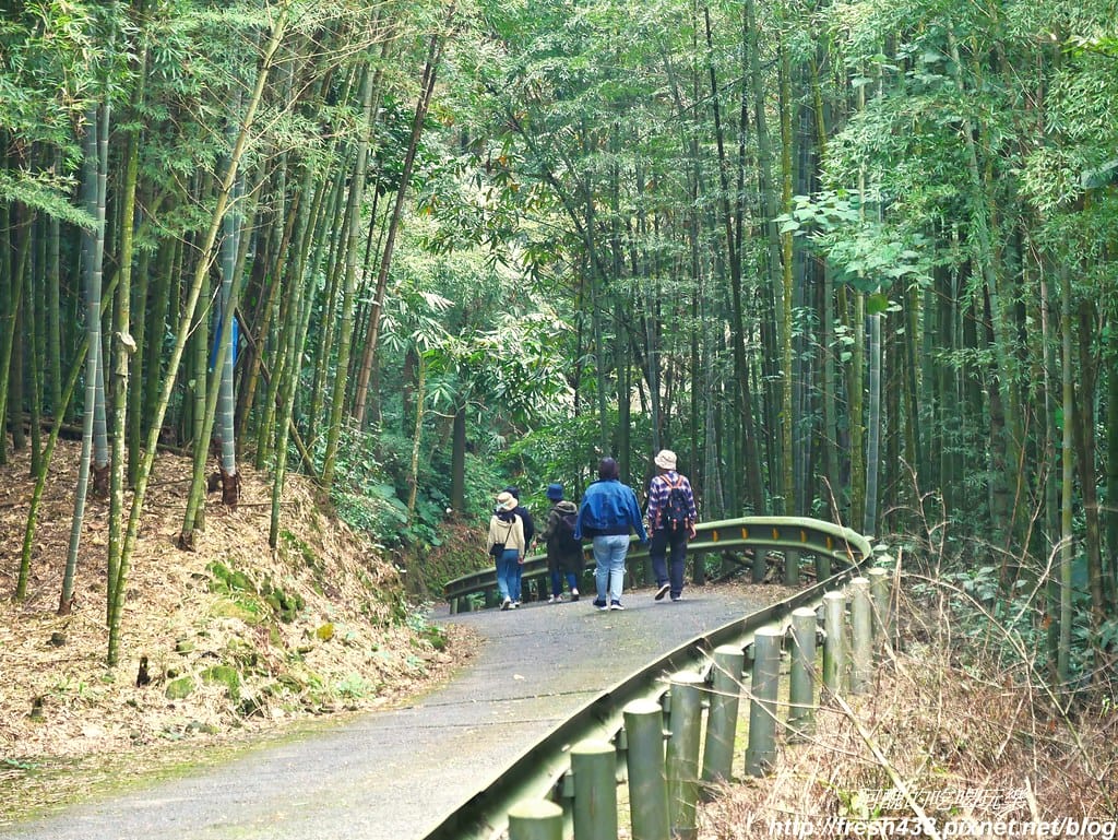 【嘉義美食】富摩咖啡莊園,品嚐特等獎精品咖啡,DIY製作濾掛式咖啡,來聽龍眼村村長話古今。 - 第4張圖 P1850533