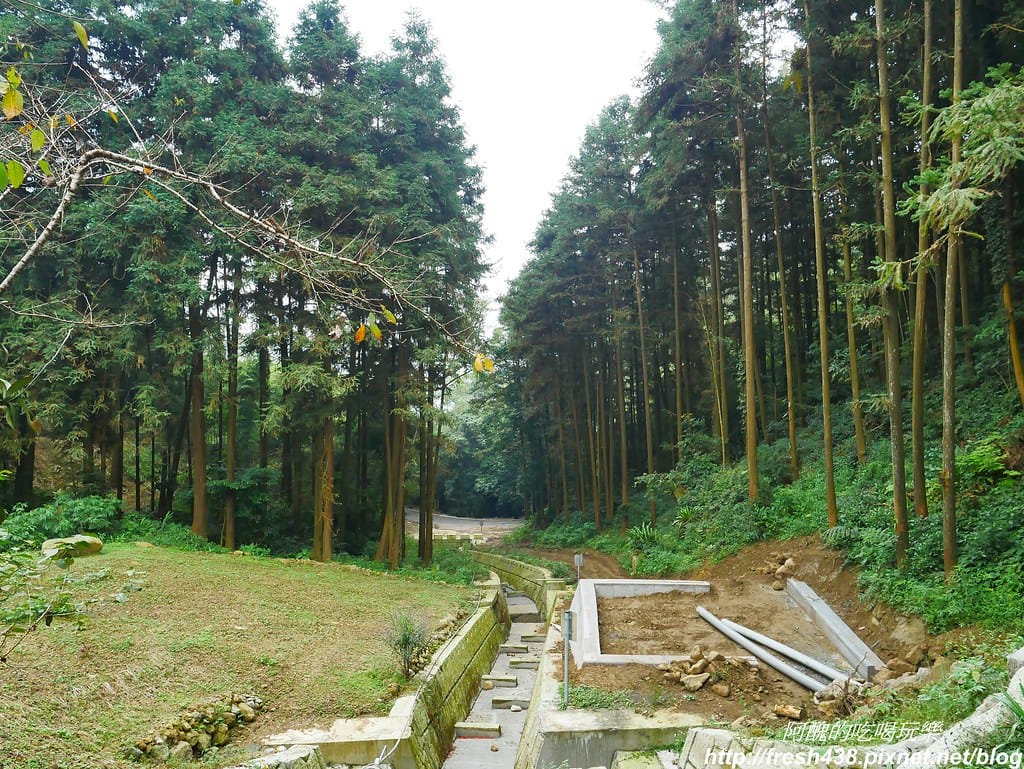 【嘉義美食】富摩咖啡莊園,品嚐特等獎精品咖啡,DIY製作濾掛式咖啡,來聽龍眼村村長話古今。 - 第8張圖 P1850539
