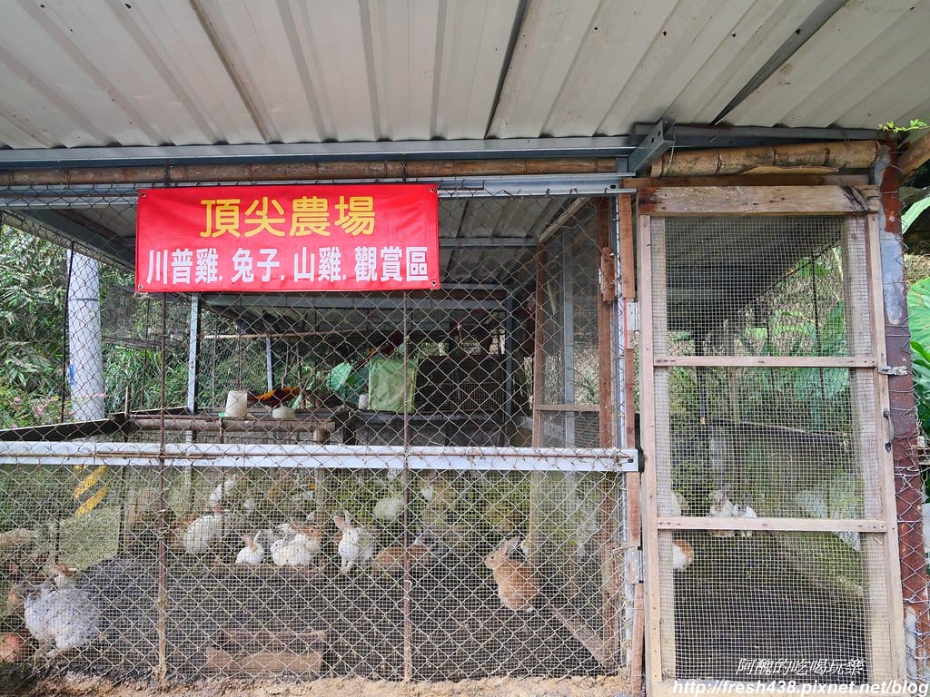P1025679