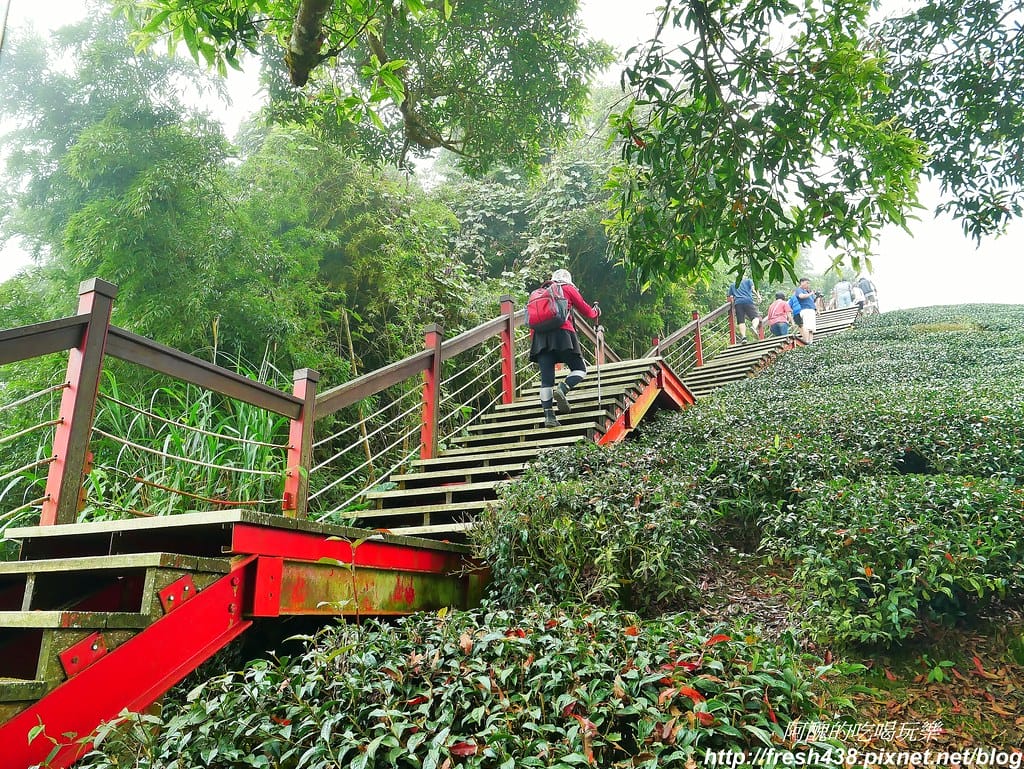 10麥走步道