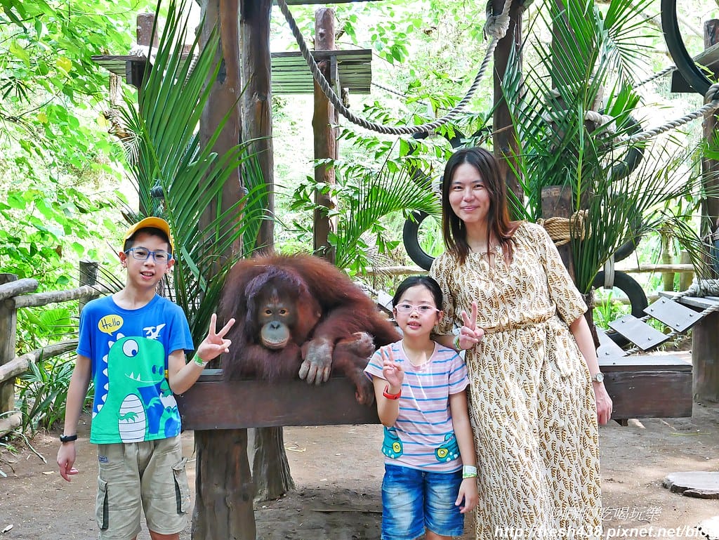 【印尼旅遊】峇里島野生動物園(Bali Safari & Marine Park),峇里島必遊景點,免費與動物拍照,還有兒童水上樂園可消暑。 - 第91張圖 P1730096可免費合影