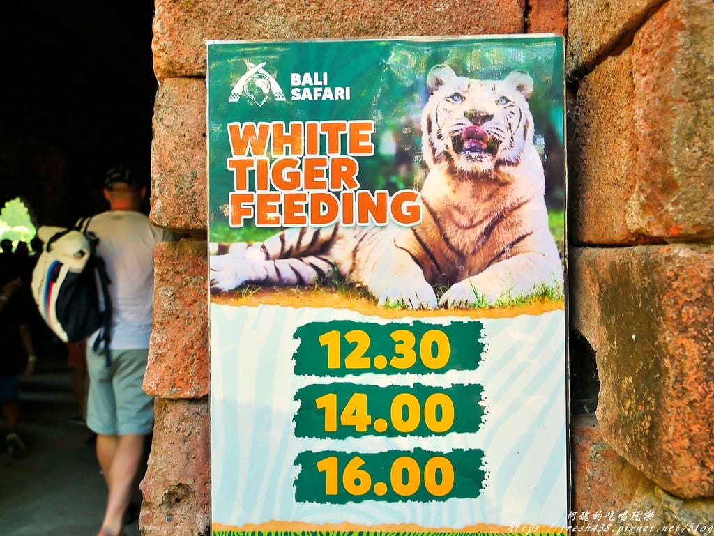 【印尼旅遊】峇里島野生動物園(Bali Safari & Marine Park),峇里島必遊景點,免費與動物拍照,還有兒童水上樂園可消暑。 - 第51張圖 38-1