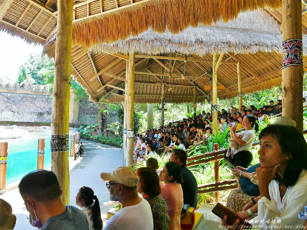【印尼旅遊】峇里島野生動物園(Bali Safari & Marine Park),峇里島必遊景點,免費與動物拍照,還有兒童水上樂園可消暑。 - 第64張圖 52