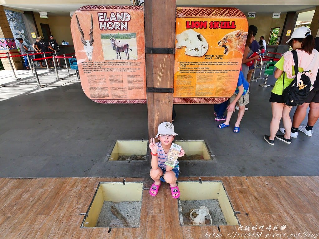 【印尼旅遊】峇里島野生動物園(Bali Safari & Marine Park),峇里島必遊景點,免費與動物拍照,還有兒童水上樂園可消暑。 - 第10張圖 6-1