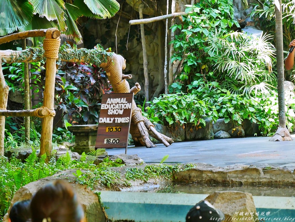 【印尼旅遊】峇里島野生動物園(Bali Safari & Marine Park),峇里島必遊景點,免費與動物拍照,還有兒童水上樂園可消暑。 - 第31張圖 18