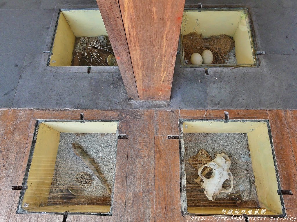 【印尼旅遊】峇里島野生動物園(Bali Safari & Marine Park),峇里島必遊景點,免費與動物拍照,還有兒童水上樂園可消暑。 - 第11張圖 6-2