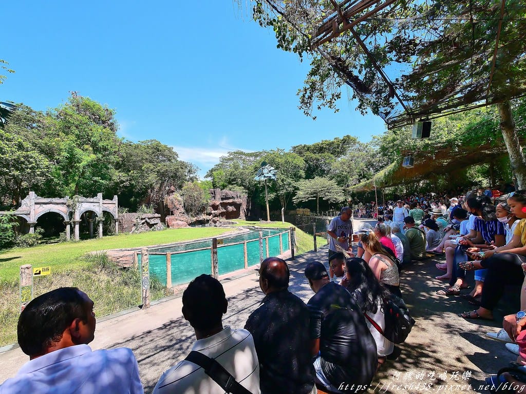 【印尼旅遊】峇里島野生動物園(Bali Safari & Marine Park),峇里島必遊景點,免費與動物拍照,還有兒童水上樂園可消暑。 - 第38張圖 27