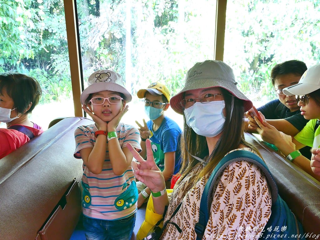 【印尼旅遊】峇里島野生動物園(Bali Safari & Marine Park),峇里島必遊景點,免費與動物拍照,還有兒童水上樂園可消暑。 - 第21張圖 9