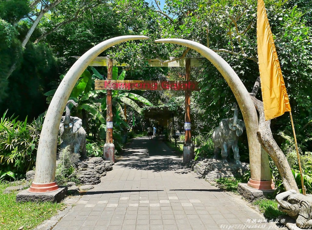 【印尼旅遊】峇里島野生動物園(Bali Safari & Marine Park),峇里島必遊景點,免費與動物拍照,還有兒童水上樂園可消暑。 - 第63張圖 51
