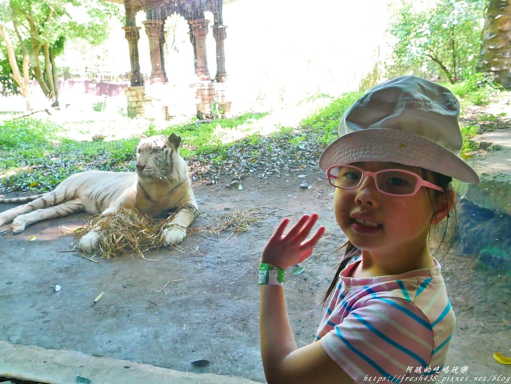 【印尼旅遊】峇里島野生動物園(Bali Safari & Marine Park),峇里島必遊景點,免費與動物拍照,還有兒童水上樂園可消暑。 - 第54張圖 41