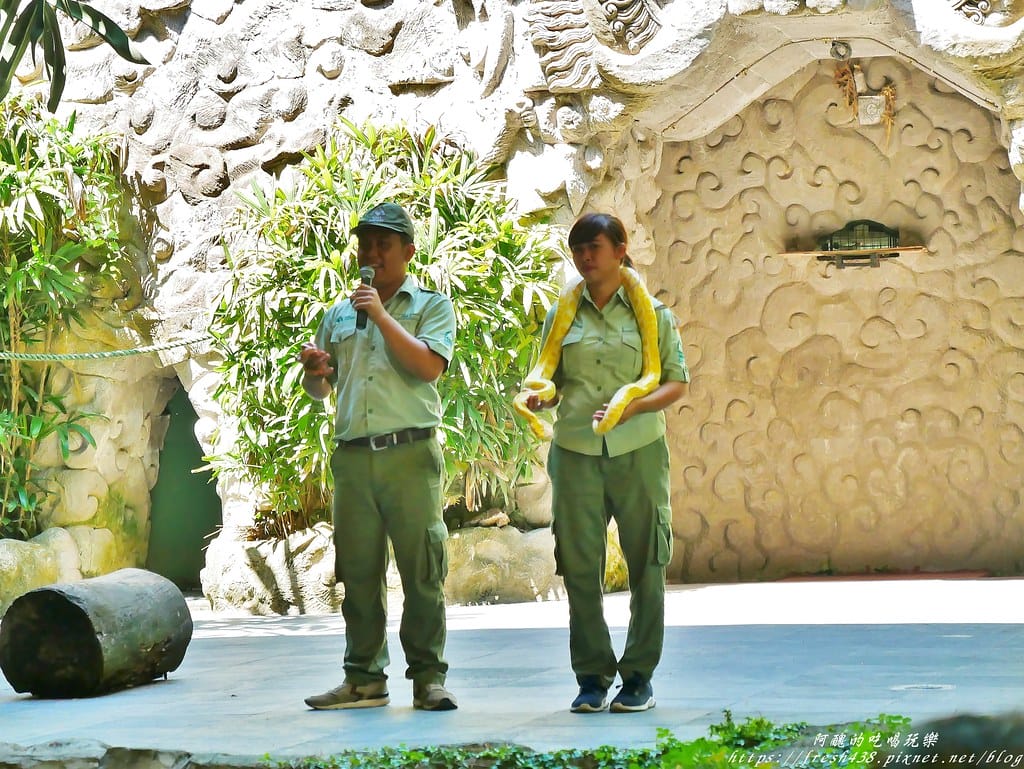 【印尼旅遊】峇里島野生動物園(Bali Safari & Marine Park),峇里島必遊景點,免費與動物拍照,還有兒童水上樂園可消暑。 - 第33張圖 20