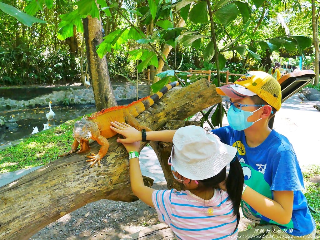 【印尼旅遊】峇里島野生動物園(Bali Safari & Marine Park),峇里島必遊景點,免費與動物拍照,還有兒童水上樂園可消暑。 - 第60張圖 47