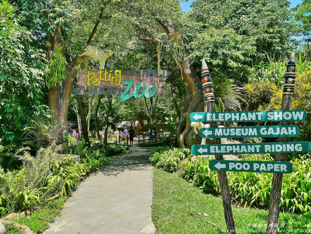 【印尼旅遊】峇里島野生動物園(Bali Safari & Marine Park),峇里島必遊景點,免費與動物拍照,還有兒童水上樂園可消暑。 - 第56張圖 43