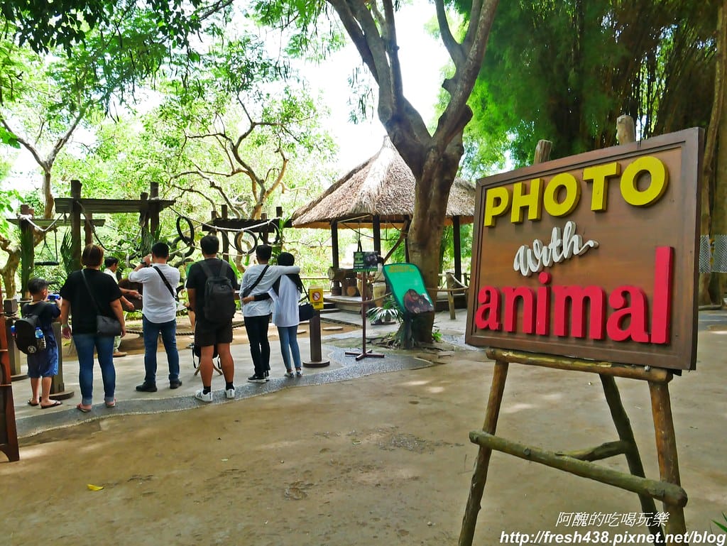 【印尼旅遊】峇里島野生動物園(Bali Safari & Marine Park),峇里島必遊景點,免費與動物拍照,還有兒童水上樂園可消暑。 - 第89張圖 P1730099