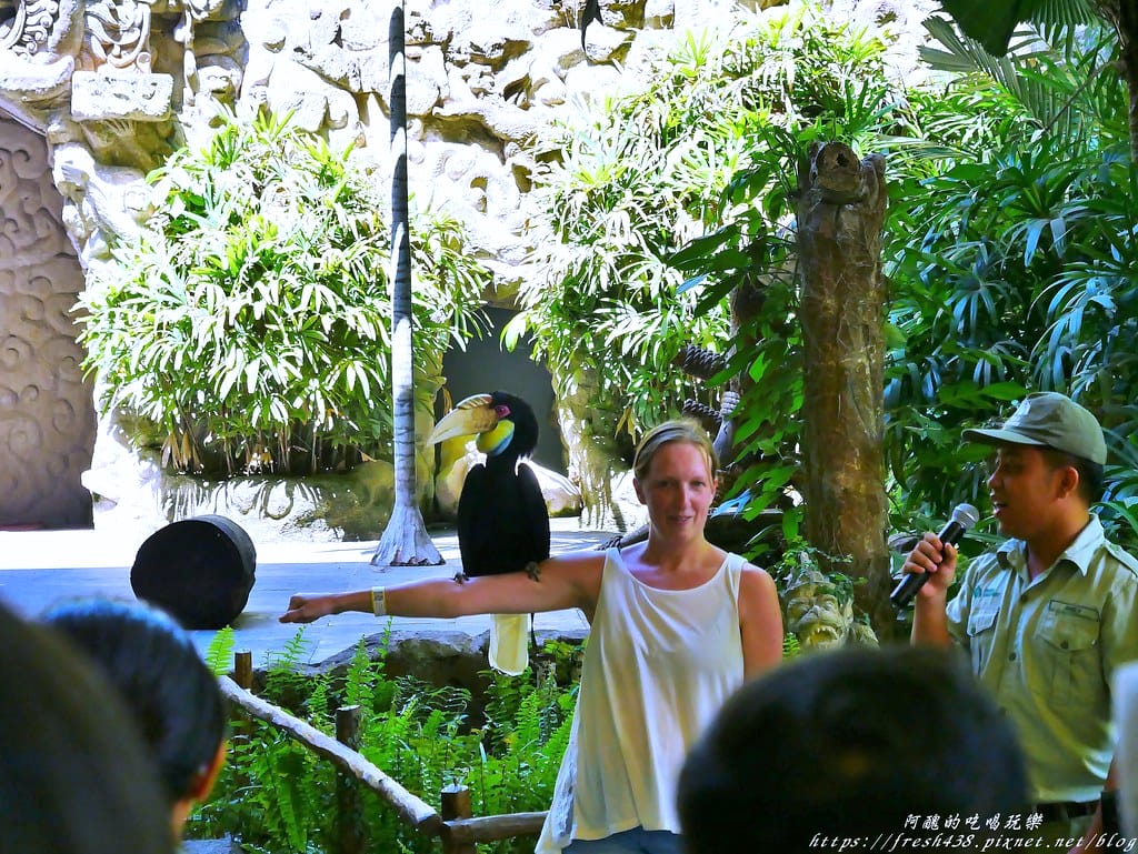 【印尼旅遊】峇里島野生動物園(Bali Safari & Marine Park),峇里島必遊景點,免費與動物拍照,還有兒童水上樂園可消暑。 - 第32張圖 19