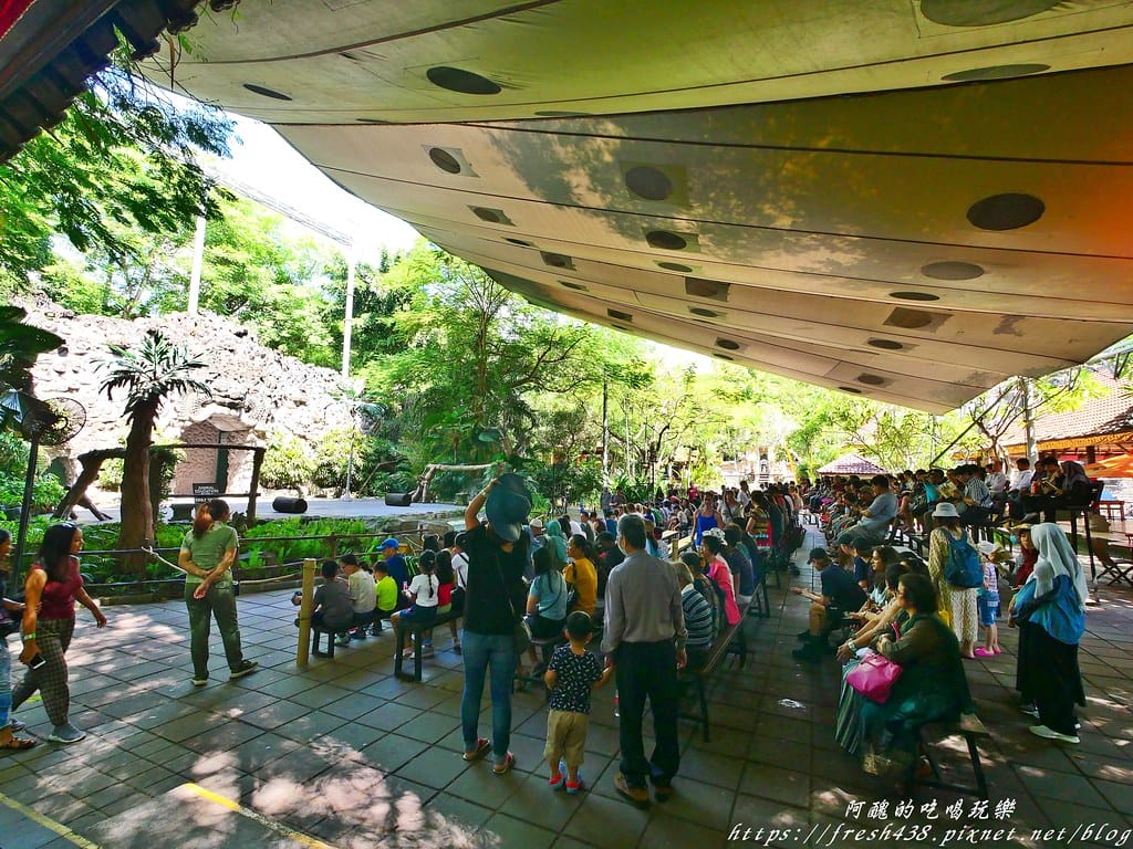 【印尼旅遊】峇里島野生動物園(Bali Safari & Marine Park),峇里島必遊景點,免費與動物拍照,還有兒童水上樂園可消暑。 - 第30張圖 17