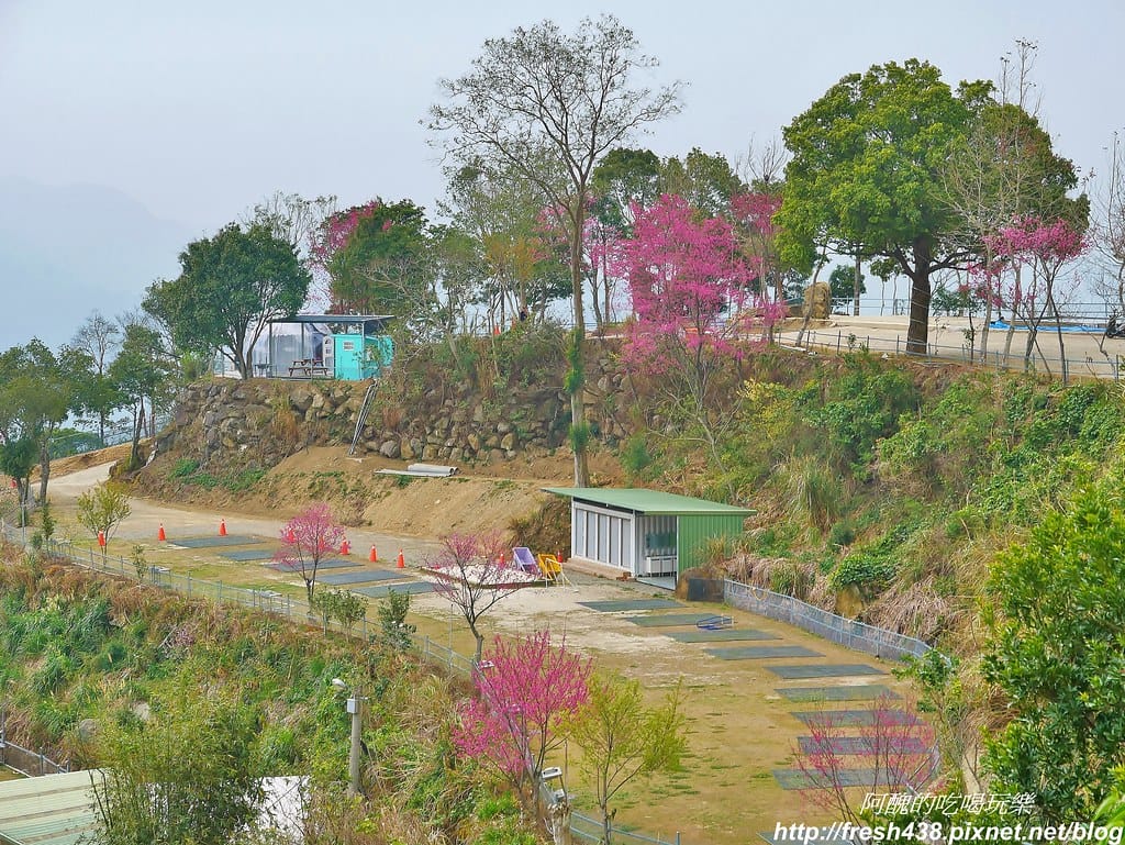 30(第2層純露營區