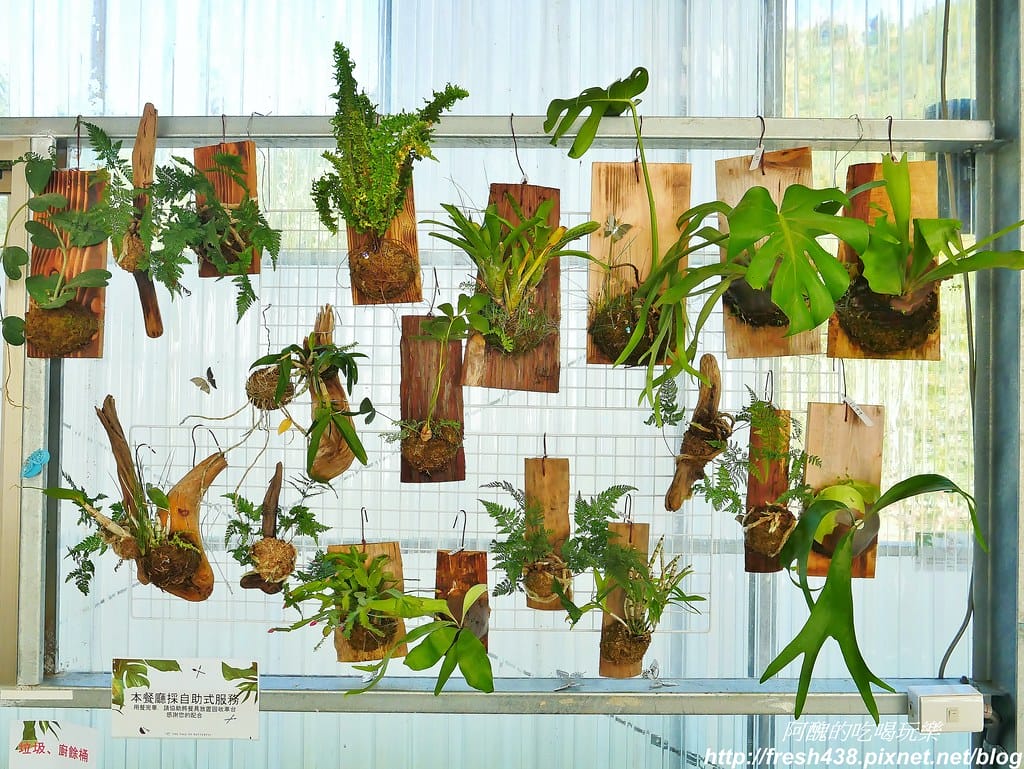 【高雄露營】蝶舞澗豪華露營,一泊三食超幸福,露營選擇Glamping,再也不會手忙腳亂。 - 第22張圖 12
