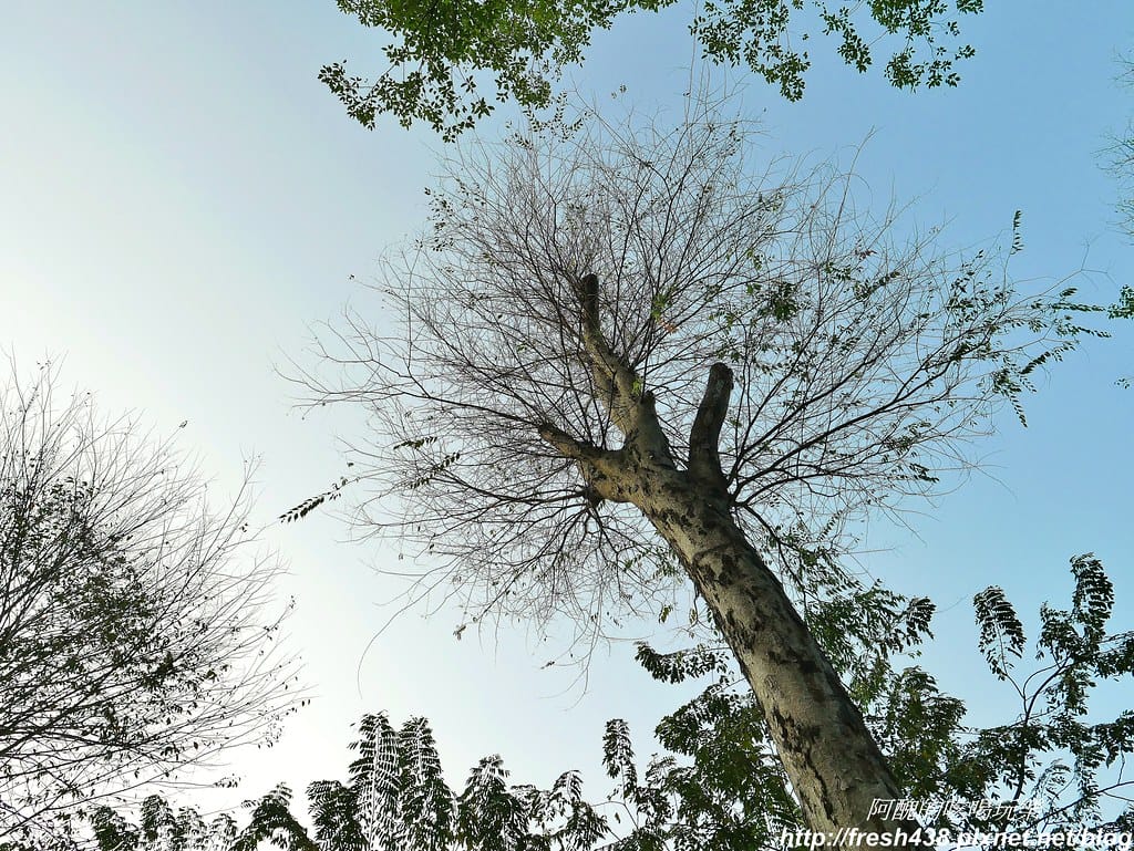 【高雄露營】蝶舞澗豪華露營,一泊三食超幸福,露營選擇Glamping,再也不會手忙腳亂。 - 第92張圖 57