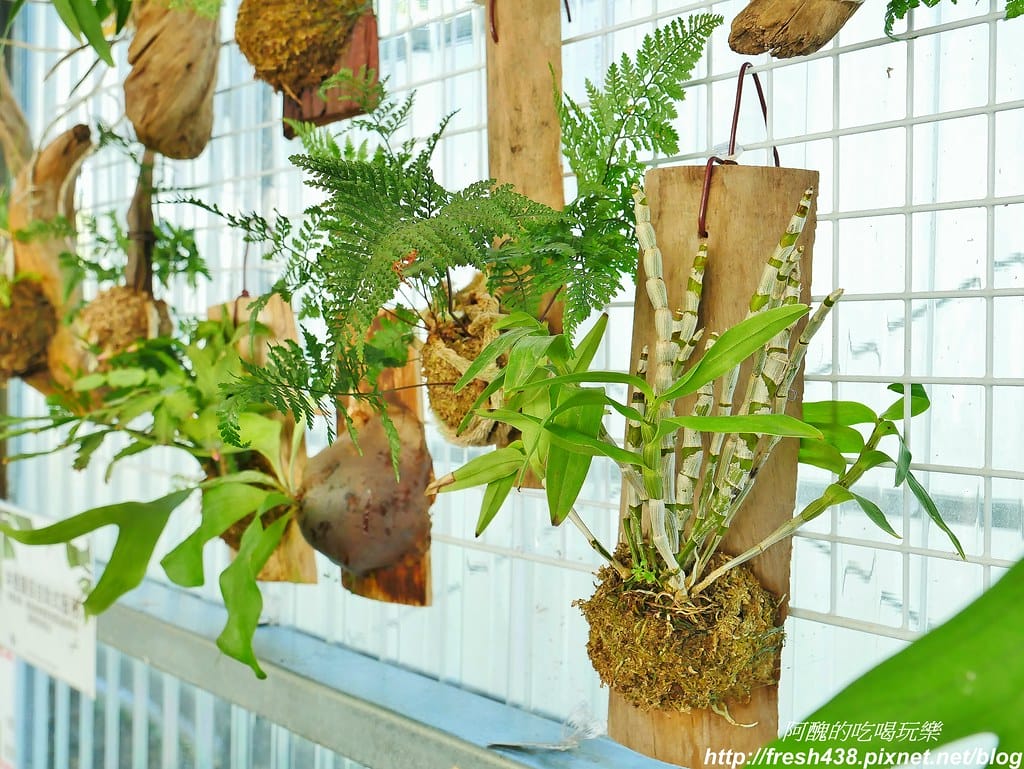【高雄露營】蝶舞澗豪華露營,一泊三食超幸福,露營選擇Glamping,再也不會手忙腳亂。 - 第23張圖 13