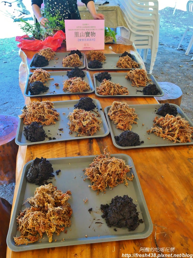 【高雄露營】蝶舞澗豪華露營,一泊三食超幸福,露營選擇Glamping,再也不會手忙腳亂。 - 第33張圖 23