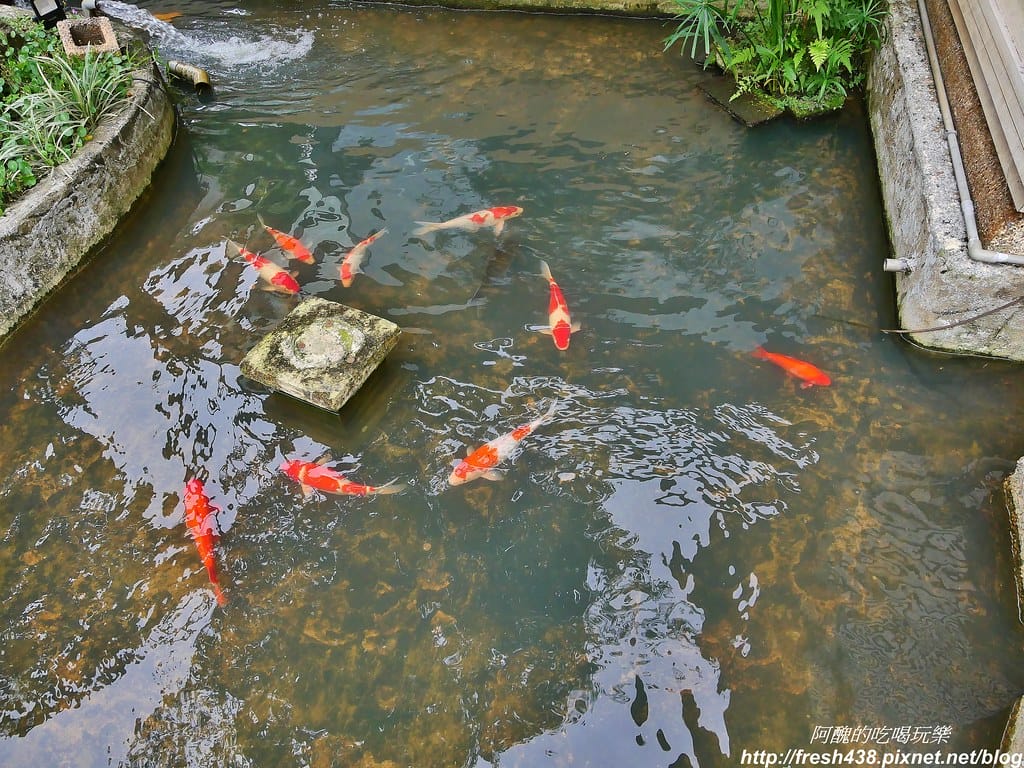 【宜蘭美食】綠海咖啡坊,中西式料理皆出眾,完美複合式餐飲,更是親子友善餐廳,生日免費慶生還送您蛋糕。 - 第8張圖 5