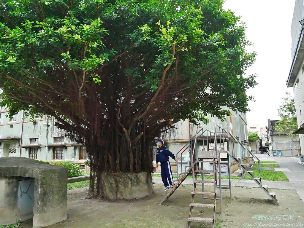 【花蓮免費景點】花蓮文化創意產業園區,看古蹟、逛市集、嚐美食,還有街頭表演與DIY活動哦! - 第48張圖 24