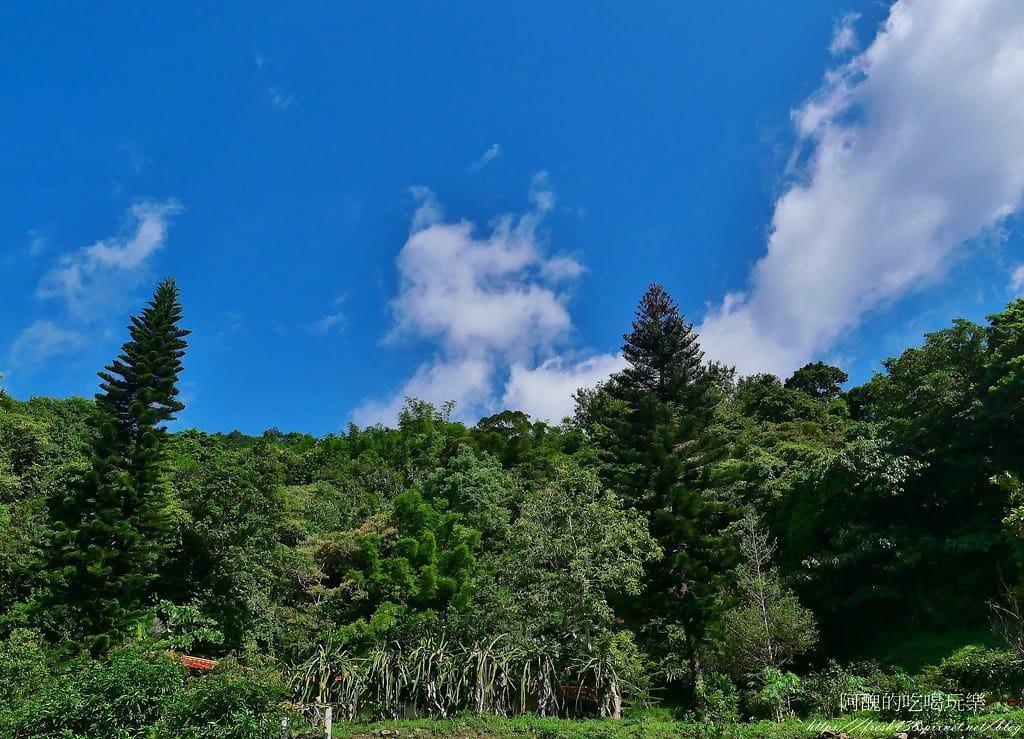 【宜蘭住宿】馥森里山,走入山林,享受自然與心靈的對話,一泊四食超完美! - 第106張圖 70